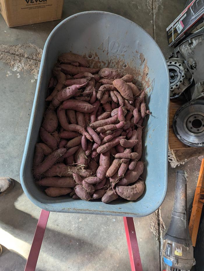 Ready to box and store.