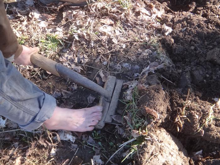 A person digging dirt while barefoot with a specially modified shovel that has a wooden step on it