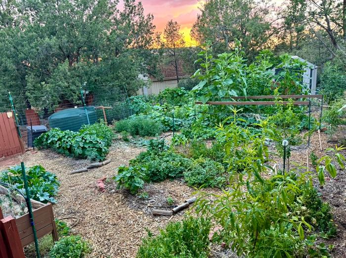 700SF Back Garden during Summer Sunset