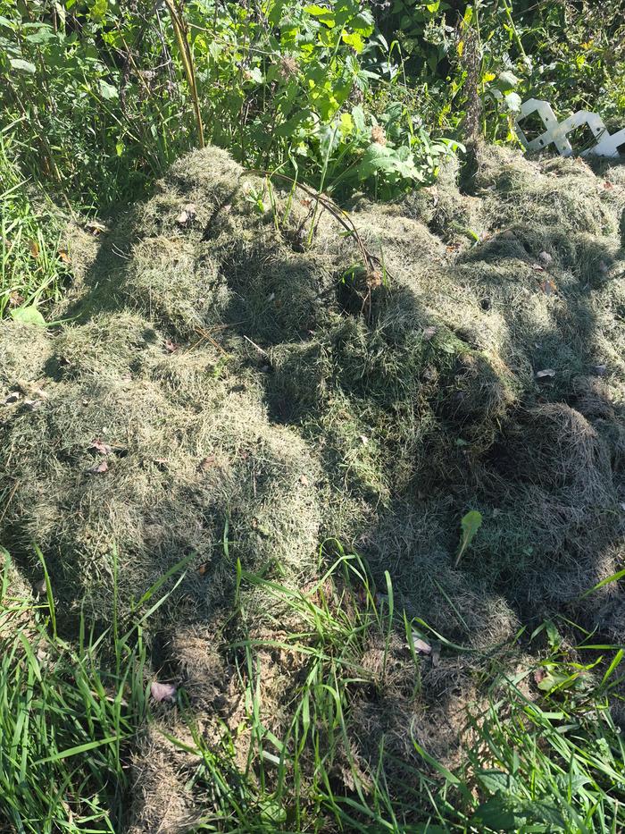 Pile of grass clippings