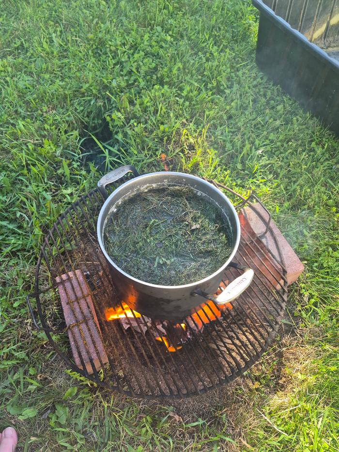 Boiling the organic matter
