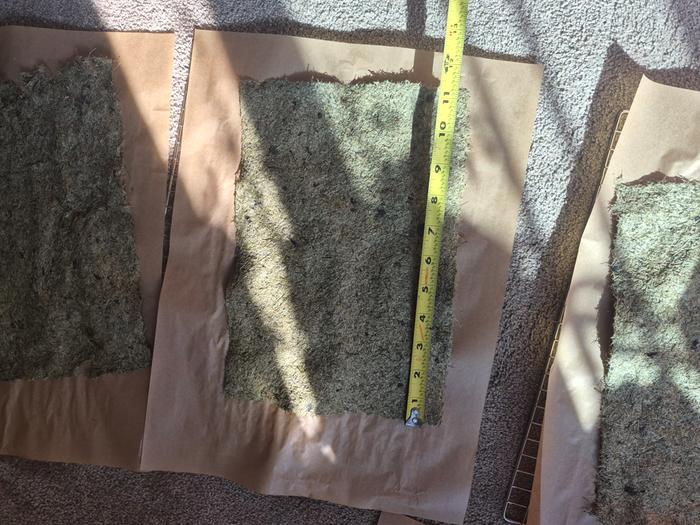 11"