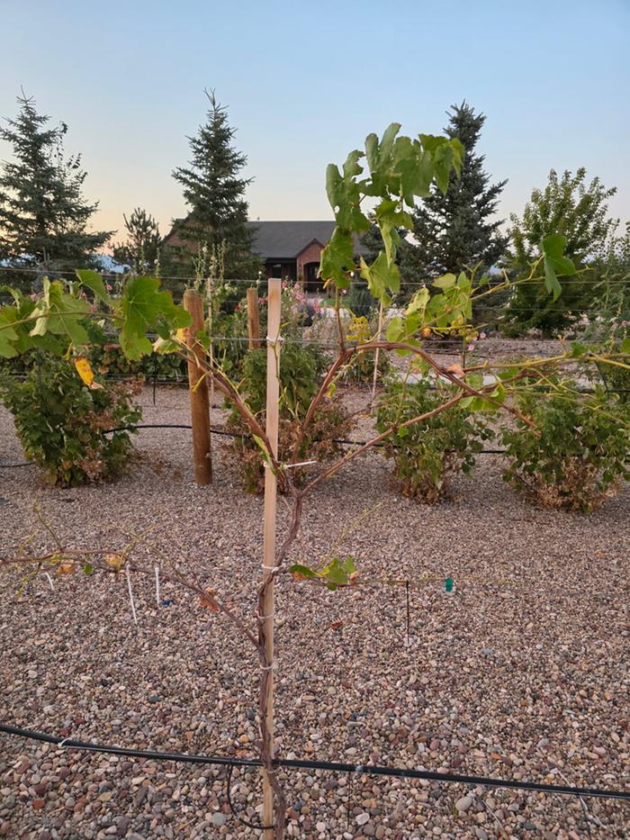 [Thumbnail for IMG_20251025_170513.jpg]