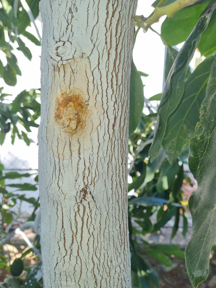 [Thumbnail for IMG-20251023-WA0000.jpg]