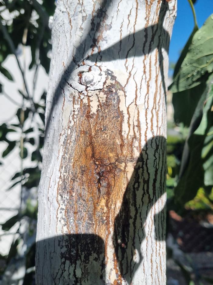 [Thumbnail for IMG-20251027-WA0011.jpg]