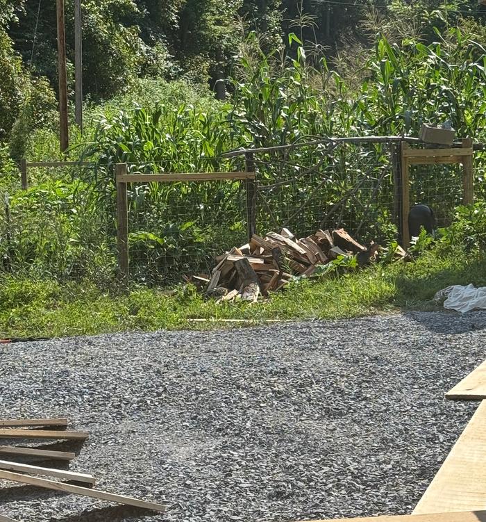 [Thumbnail for IMG_4892.jpg]