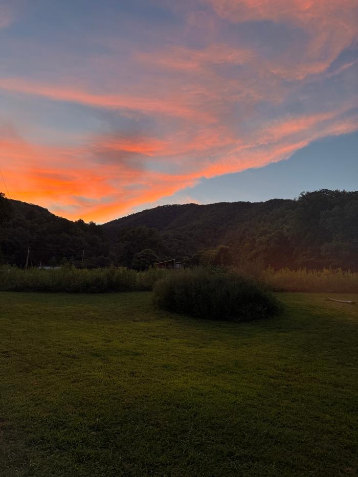 [Thumbnail for IMG_5181.JPG]