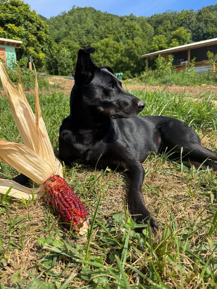 [Thumbnail for IMG_5218.JPG]