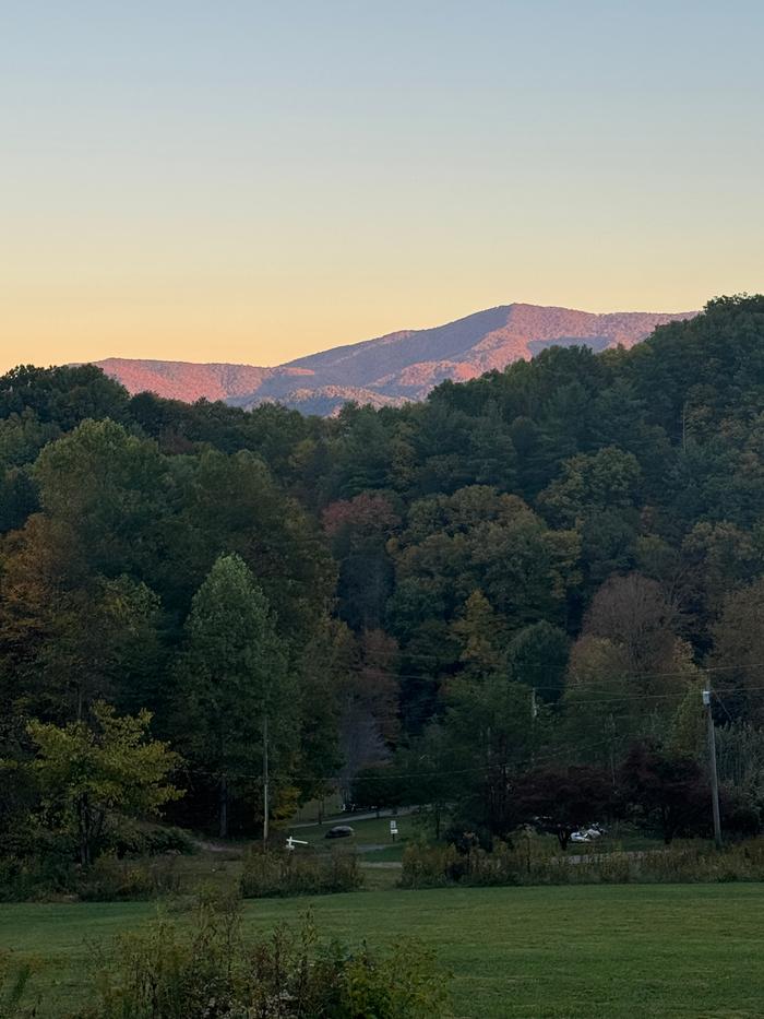 [Thumbnail for IMG_6236.JPG]