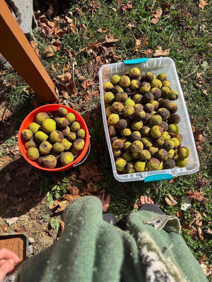 [Thumbnail for IMG_6507.JPG]