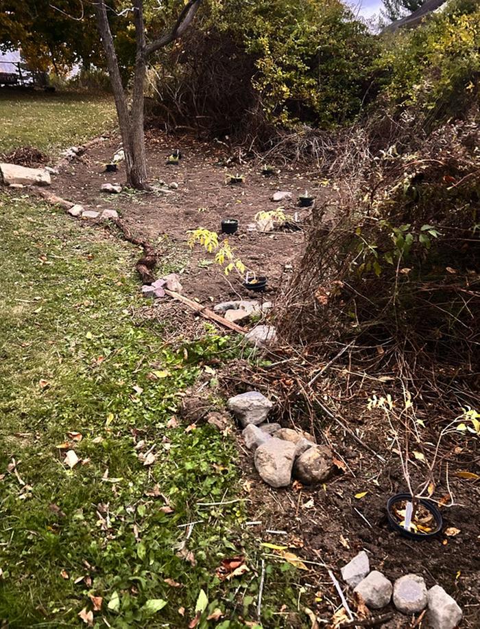 [Thumbnail for Black-Walnut-Guild-01b.jpg]