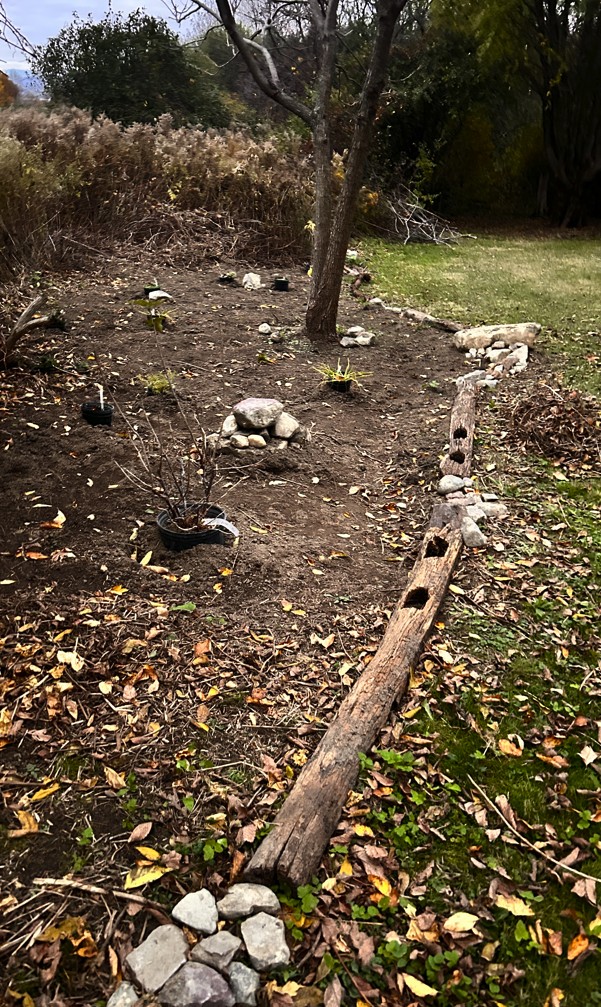 [Thumbnail for Black-Walnut-Guild-01c.jpg]