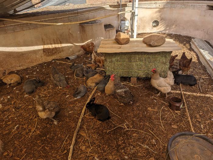 [Thumbnail for PXL_20231103_180417376.jpg]