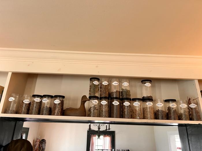 [Thumbnail for fall-2025-seeds.JPG]