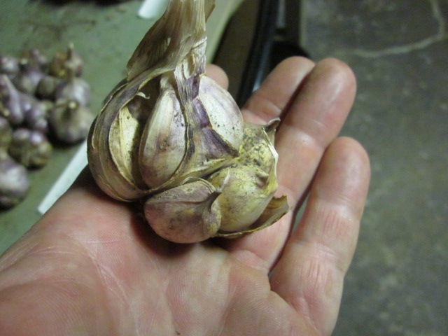 [Thumbnail for IMG_3864.JPG]