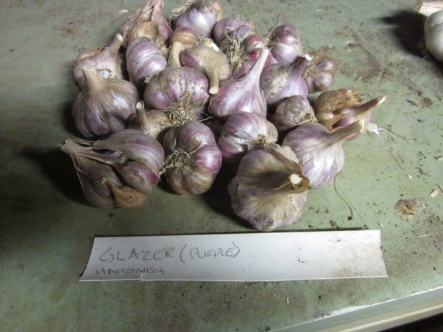 [Thumbnail for IMG_3868.JPG]