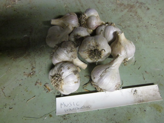 [Thumbnail for IMG_3869.JPG]