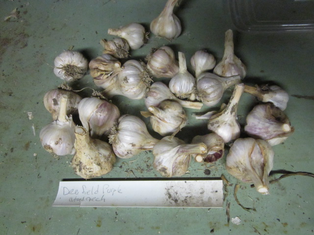 [Thumbnail for IMG_3870.JPG]