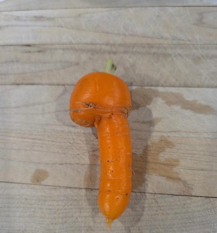 [Thumbnail for thumbnail-20.jpg]