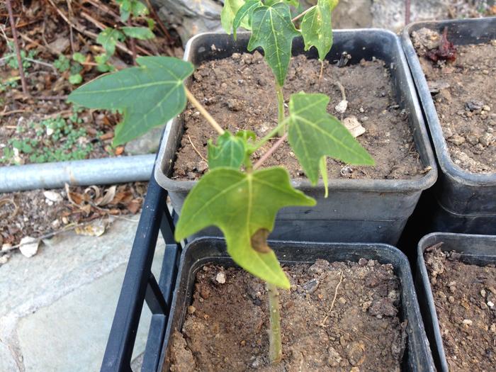 [Thumbnail for IMG_1002.jpg]