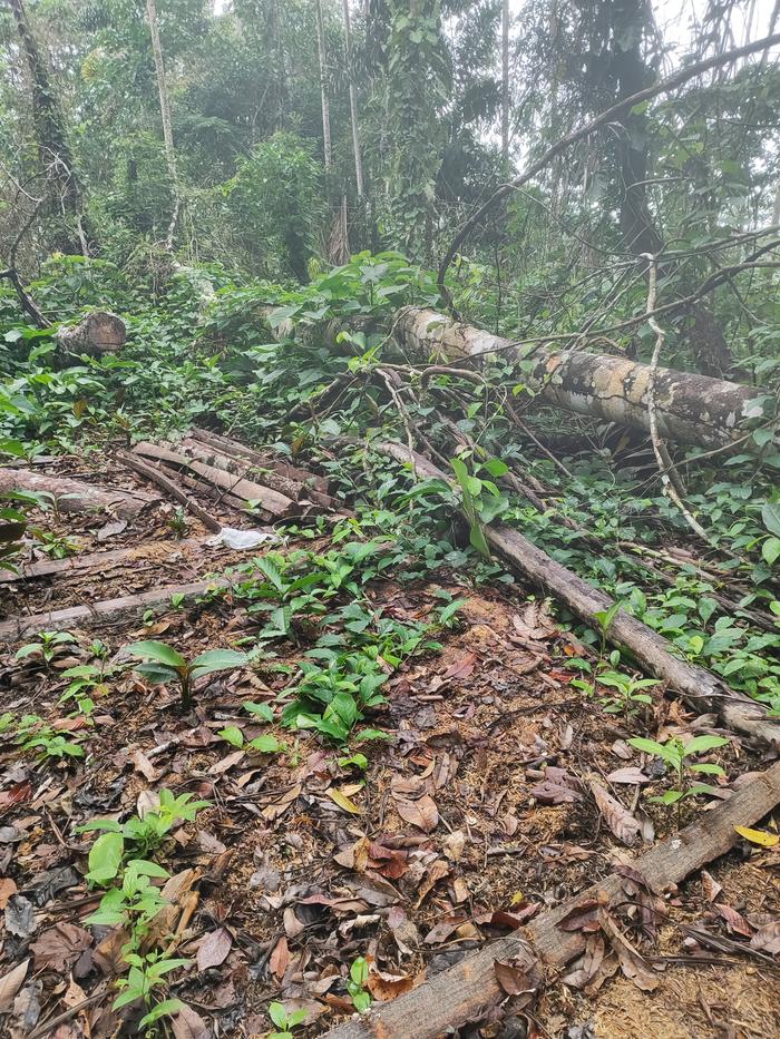 [Thumbnail for IMG_20251031_135101.jpg]