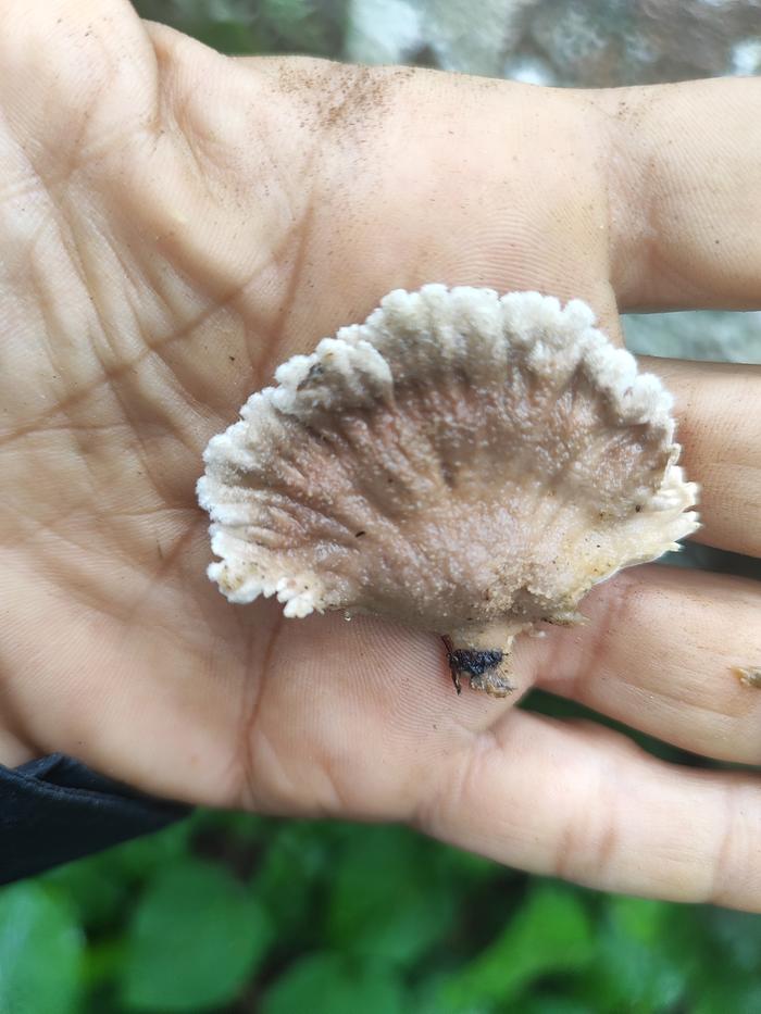 [Thumbnail for IMG_20251031_135310.jpg]