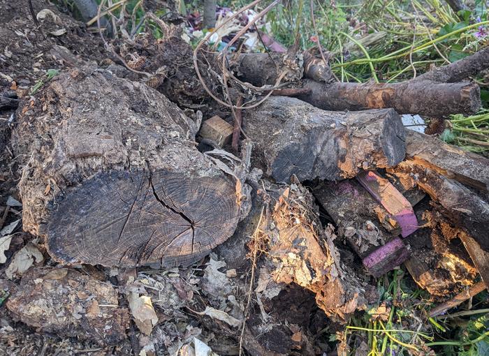 [Thumbnail for PXL_20251023_220934145.jpg]