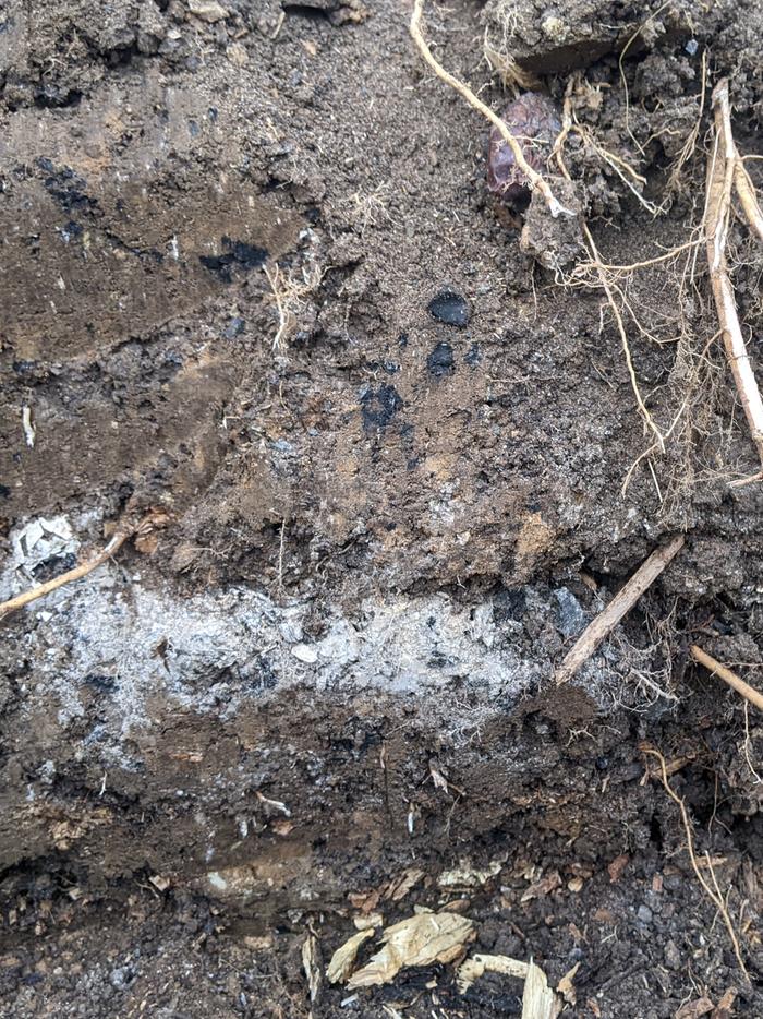 [Thumbnail for PXL_20251122_213239546.jpg]