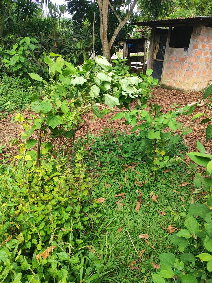 [Thumbnail for IMG_20251103_141503.jpg]