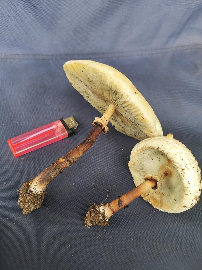 [Thumbnail for IMG_20251104_121114.jpg]