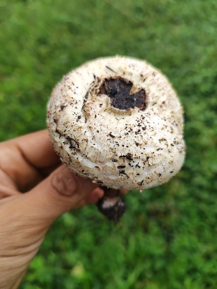 [Thumbnail for IMG_20251104_121155.jpg]