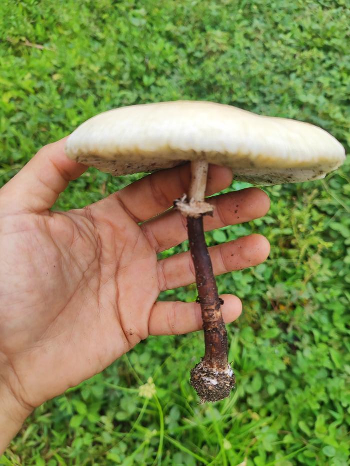 [Thumbnail for IMG_20251104_121235.jpg]