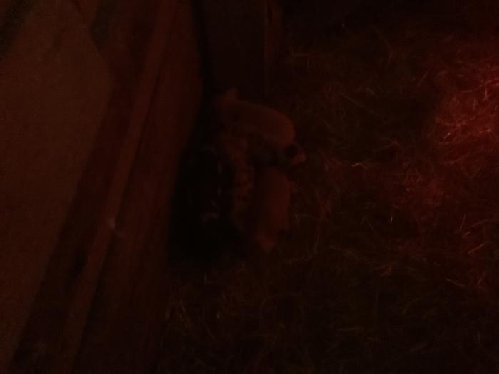 [Thumbnail for IMG_0272.jpeg]