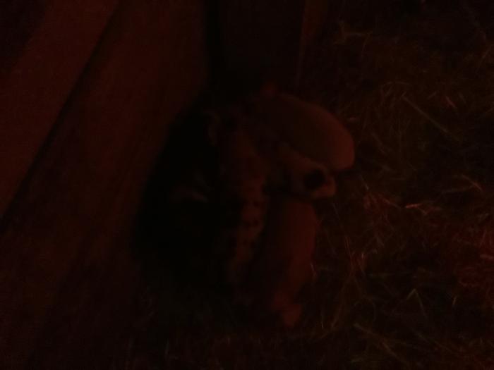 [Thumbnail for IMG_0273.jpeg]