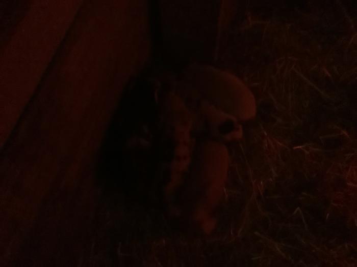 [Thumbnail for IMG_0274.jpeg]