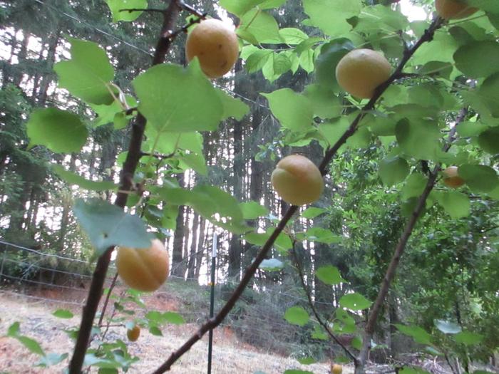 [Thumbnail for IMG_0500.jpeg]