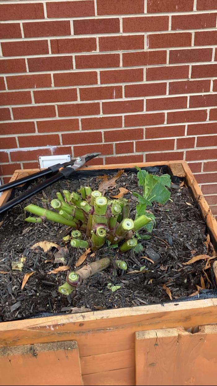 [Thumbnail for IMG_7097.png]