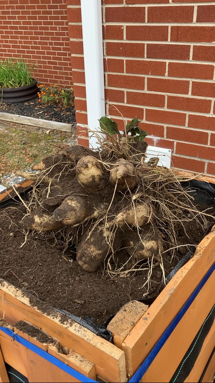 [Thumbnail for IMG_7099.png]