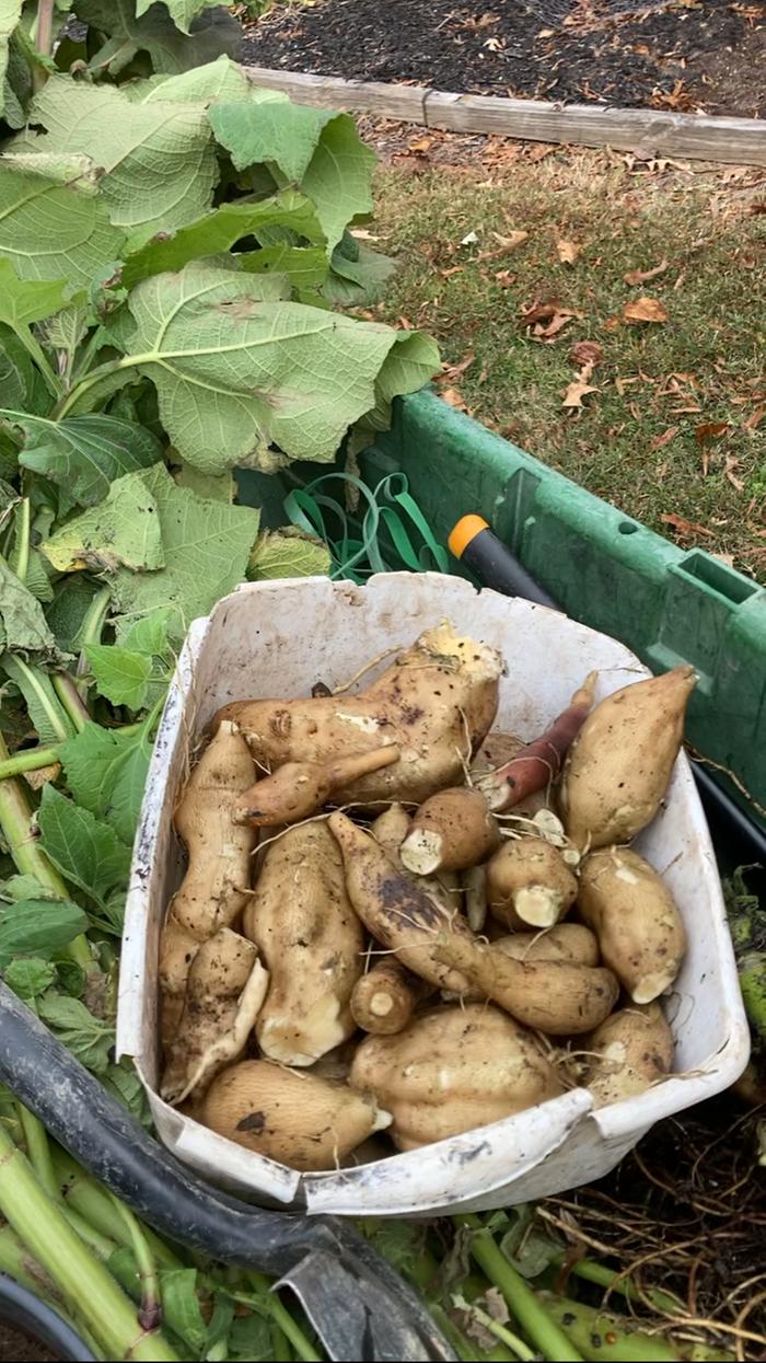 [Thumbnail for IMG_7100.png]