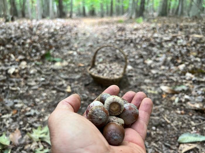 [Thumbnail for 8C47832B-AD32-449B-AACC-CAA6A8B57634.jpeg]