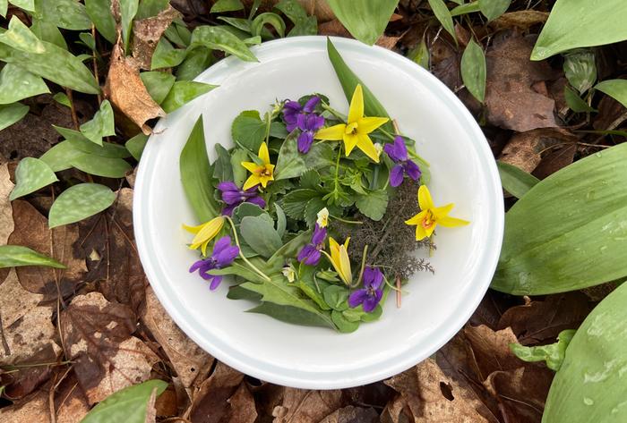 [Thumbnail for 7FAE4531-FBC5-452A-A388-E2F120BCC8F5.jpeg]