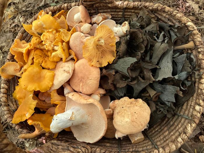 [Thumbnail for 64CA9D30-5ADC-43B8-97FC-568E7934CCF8.jpeg]