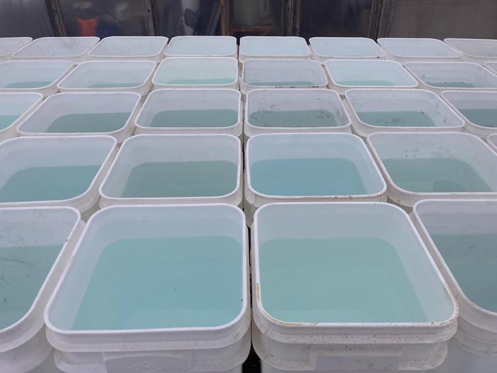 [Thumbnail for 6BC261B1-E285-41B5-B498-5F564AA1471D.jpeg]