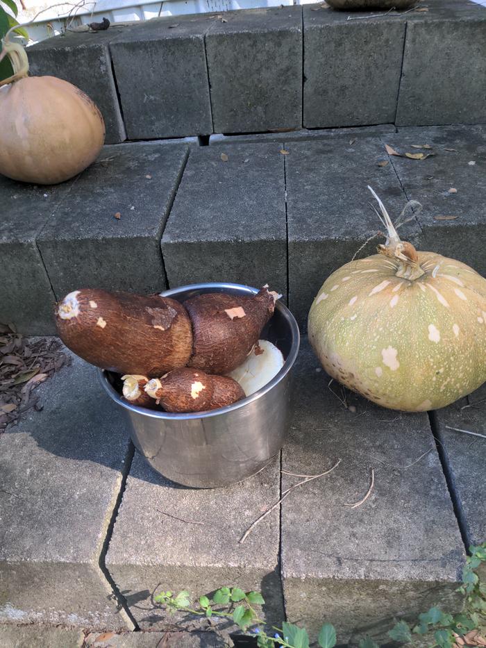 [Thumbnail for 2025-11-15-13-36-01-562.jpg]