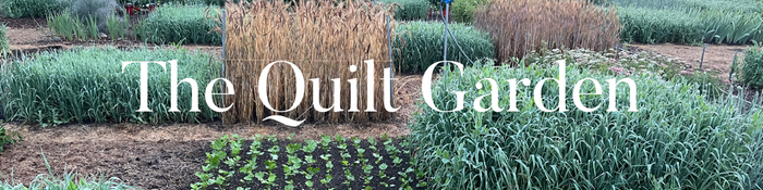 [Thumbnail for C06E5E61-1DD1-496F-9AE9-81F14F4FCCBE.png]