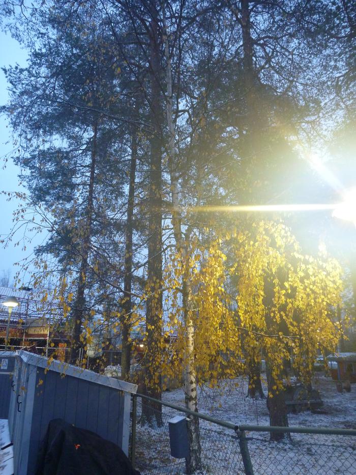 [Thumbnail for P1010545.JPG]