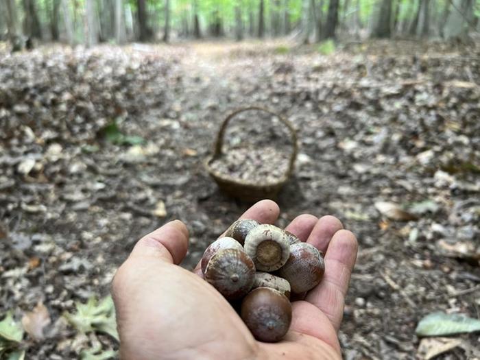 [Thumbnail for 9928CC5F-64D1-41D7-8714-BE8867B26DC0.jpeg]