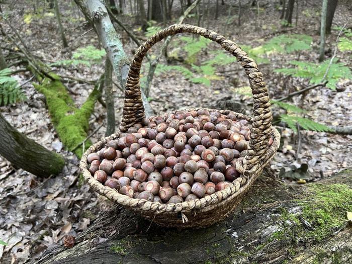 [Thumbnail for BFF4213B-E129-4A11-9113-0FDB2B2D3972.jpeg]