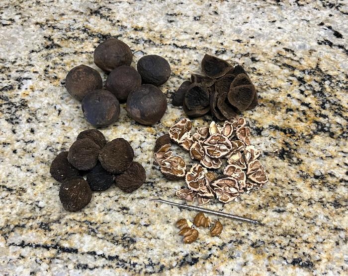 [Thumbnail for 072E0953-639D-4DF9-90CA-1446DA0A5934.jpeg]