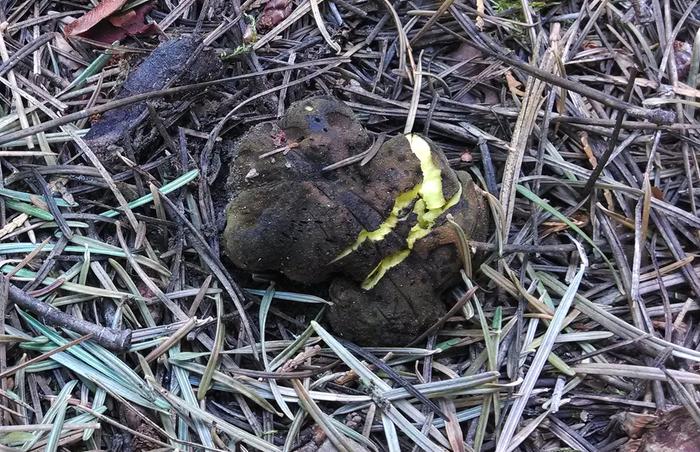 [Thumbnail for IMG_20140523_105038481.jpg]